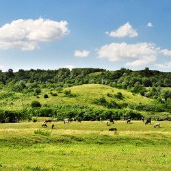 Similar image 1429701