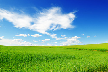 Similar image 1429707