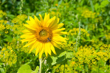 Similar image 1429711