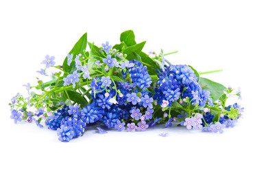 Similar image 1429712