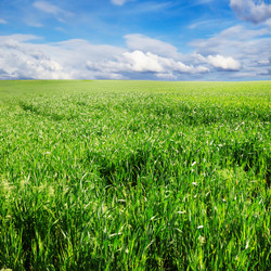 Similar image 1429719