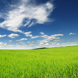 Similar image 1429721