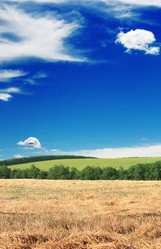 Similar image 1429722