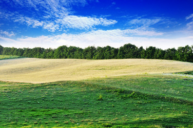 Similar image 1429726