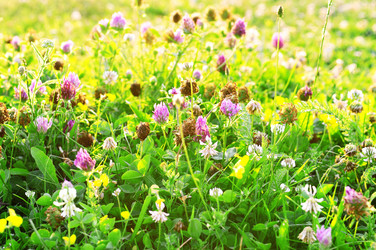 Similar image 1429729