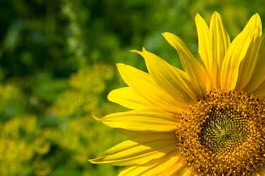 Similar image 1429731