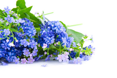 Similar image 1429732