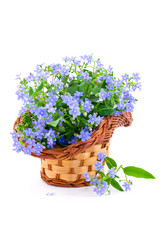 Similar image 1429733