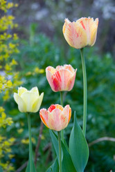 Similar image 1429734