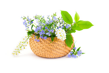 Similar image 1429735