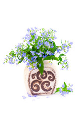 Similar image 1429736