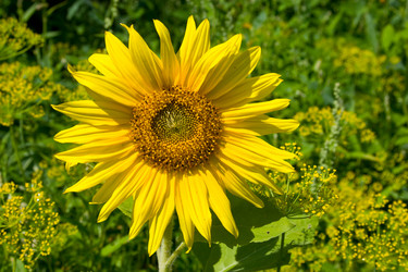 Similar image 1429742