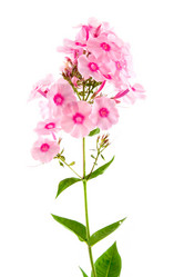 Similar image 1429759