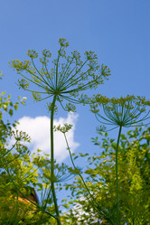 Similar image 1429763