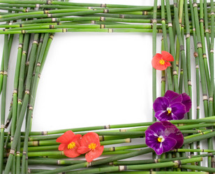 Similar image 1429764