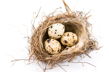 Similar image 1429766