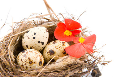 Similar image 1429768