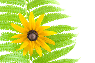 Similar image 1429771