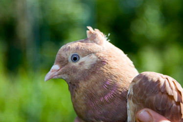 Similar image 1429776