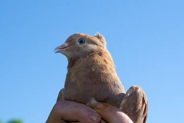 Similar image 1429781