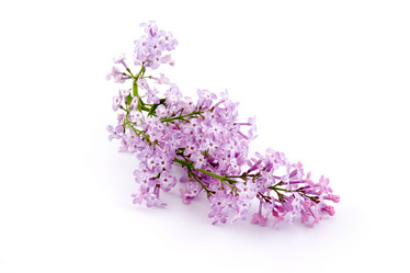 Similar image 1429786