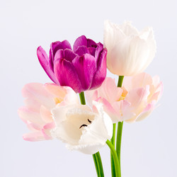 Similar image 1429788