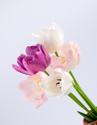 Similar image 1429792