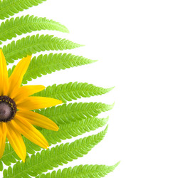 Similar image 1429793