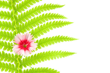 Similar image 1429798