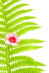 Similar image 1429799