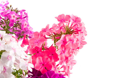 Similar image 1429805