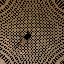 Similar image 1429821