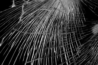 Similar image 1429841