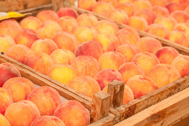 Similar image 1429882