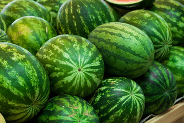 Similar image 1429885