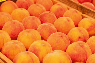 Similar image 1429886