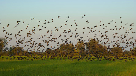 Similar image 1429892