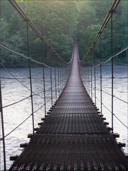 Similar image 1429894