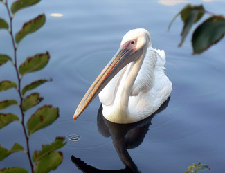 Similar image 1429895