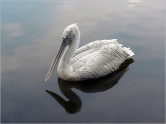 Similar image 1429897