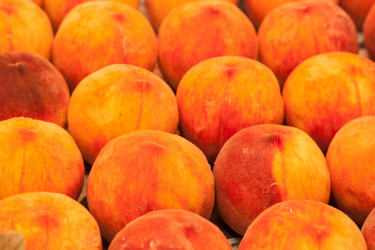 Similar image 1429898