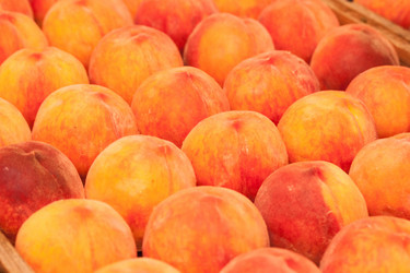 Similar image 1429899