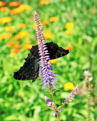 Similar image 1429929