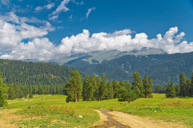 Similar image 1429933