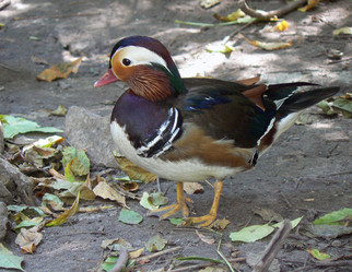 Similar image 1429941