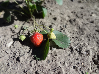 Similar image 1429954