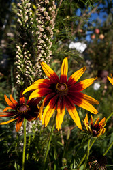 Similar image 1429965