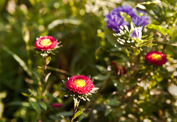 Similar image 1429966