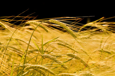 Similar image 1429968