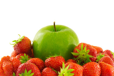 Similar image 1429973